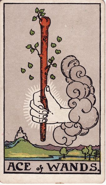Ace of Wands tarot card